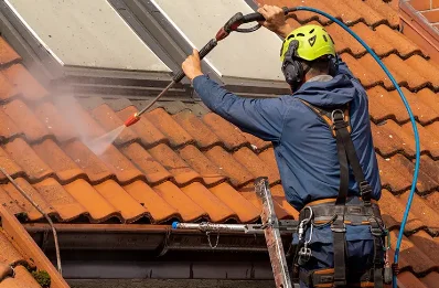 Démoussage et hydrofuge de toiture à Abos